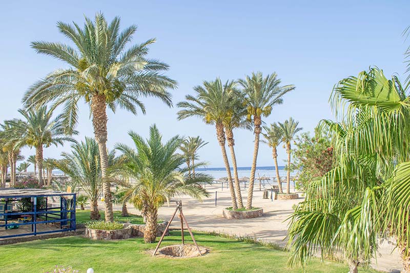 Protels Crystal Beach Resort 4*. Protels Crystal Beach Resort Marsa Alam. Protels Crystal Beach Resort 4* номера. Protels crystal beach resort