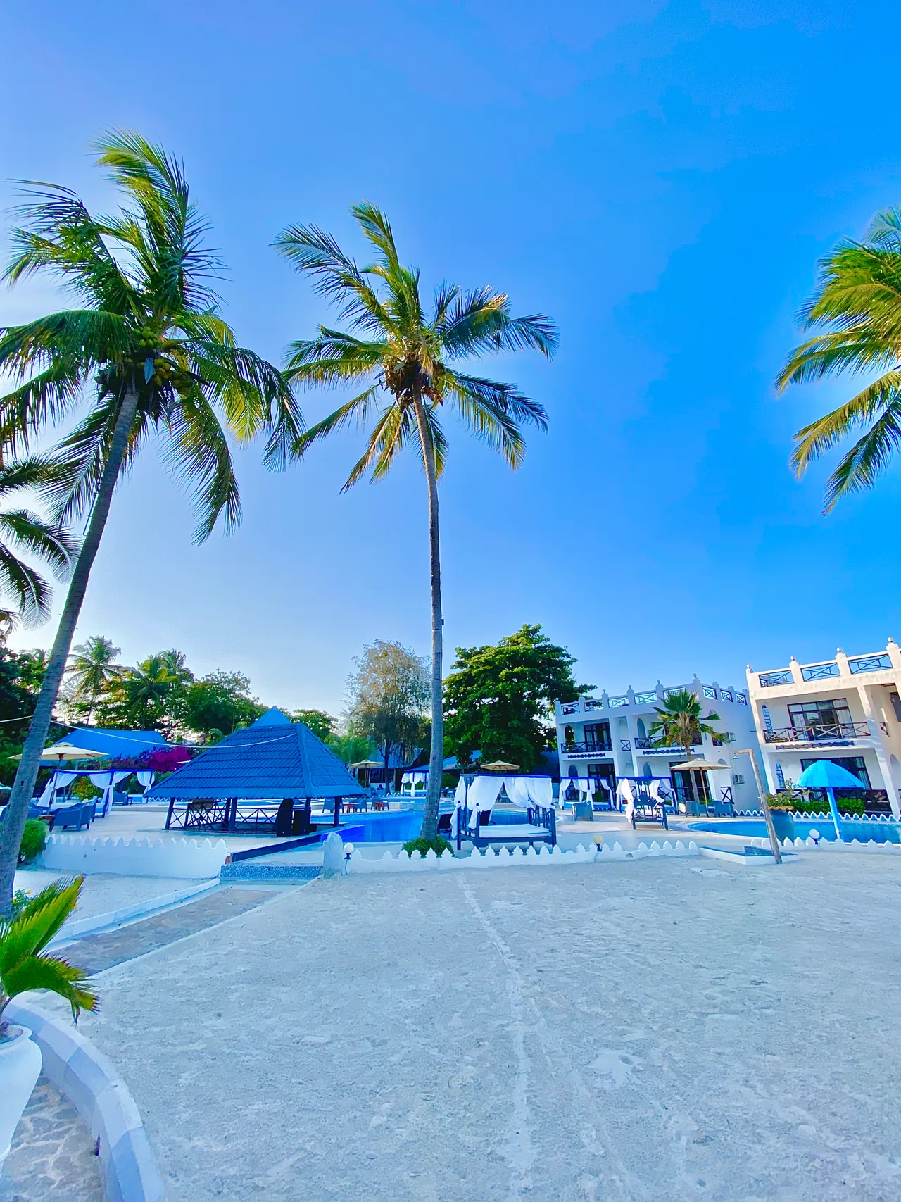 Discover the best hotels in Zanzibar, from luxury beach resorts to affordable seaside stays. Explore top places to stay, travel tips, and the best Zanzibar beach hotels for your next tropical vacation.